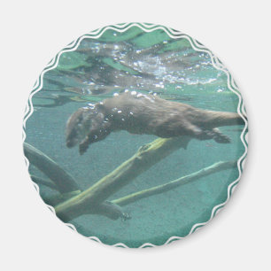 Fluss-Otter-Magnet Magnet