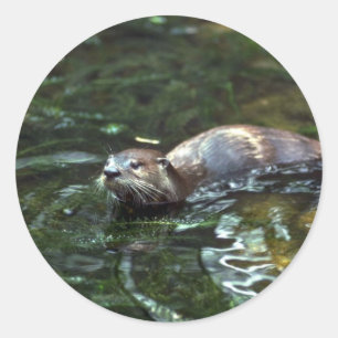 Fluss Otter Runder Aufkleber