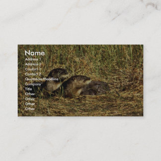 Fluss Otter Visitenkarte