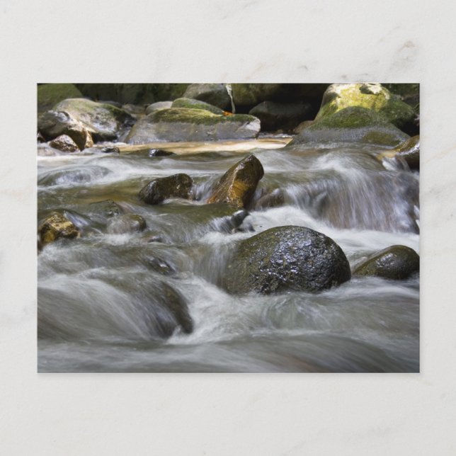Fluss Postkarte (Vorderseite)