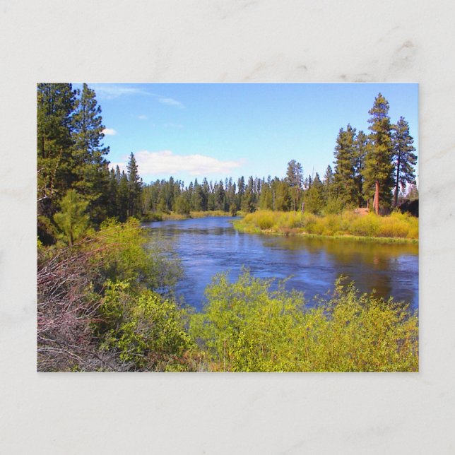 Fluss Postkarte (Vorderseite)