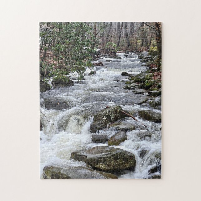 Fluss-Puzzle, 28 cm x 35,5 cm, 252 Teile (Vertikal)