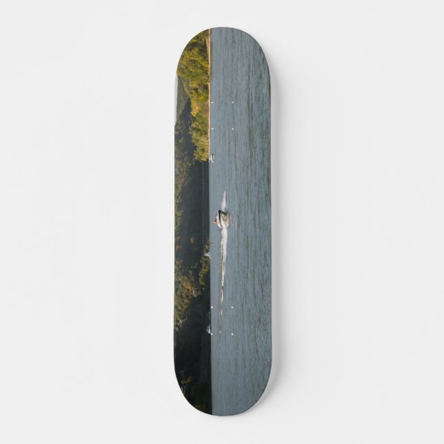 Fluss Rhein Skateboard (Vorne)