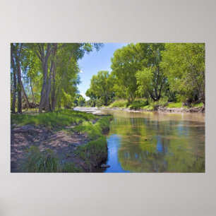 Fluss San Pedro bei Fairbank Poster