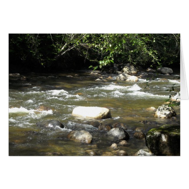 Fluss Scene (Vorderseite (Horizontal))