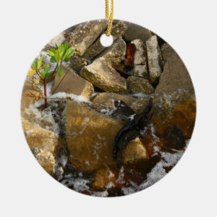 Fluss schaukelt Zement-Blöcke und Keramikornament