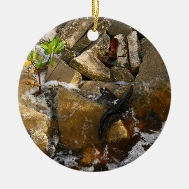 Fluss schaukelt Zement-Blöcke und Keramikornament (Vorne)