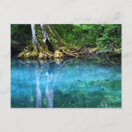 Fluss Silver Springs Postkarte