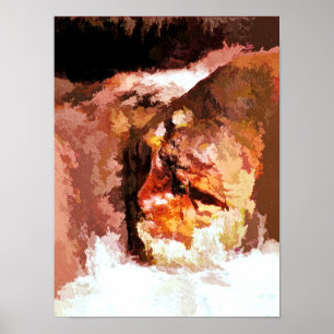 FLUSS SPIRIT POSTER