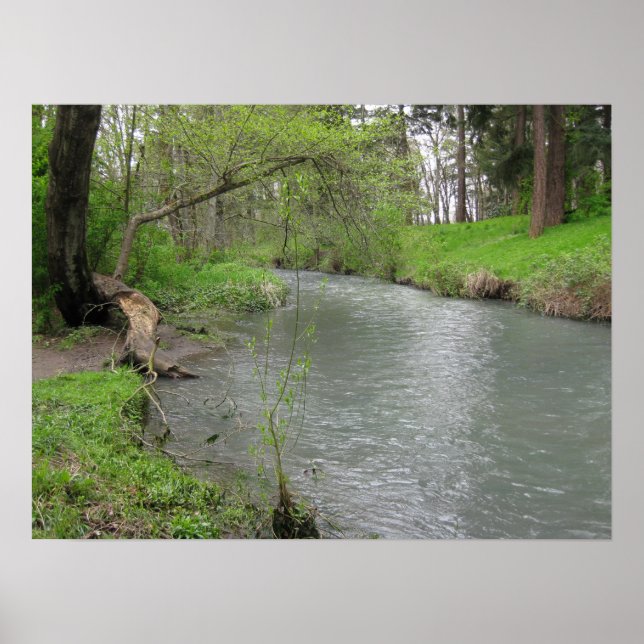 Fluss-Szenen-Plakat Poster (Vorne)