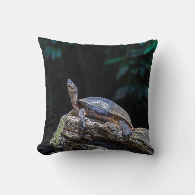 Fluss Turtle Sonnbaden in Tortuguero - Costa Rica Kissen (Vorderseite)