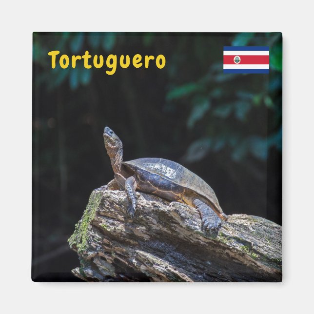 Fluss Turtle Sonnbaden in Tortuguero - Costa Rica Magnet (Vorne)