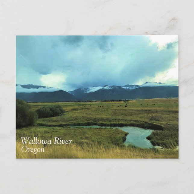 Fluss Wallowa, Oregon Postkarte (Vorderseite)