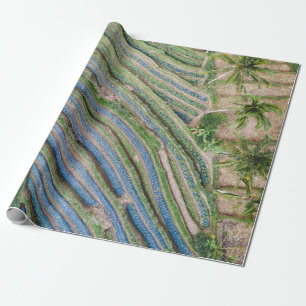 Fluss zwischen Kokospalmen Geschenkpapier