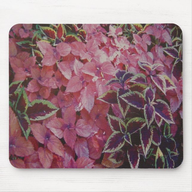 FLÜSSE MOUSEPAD (Vorne)