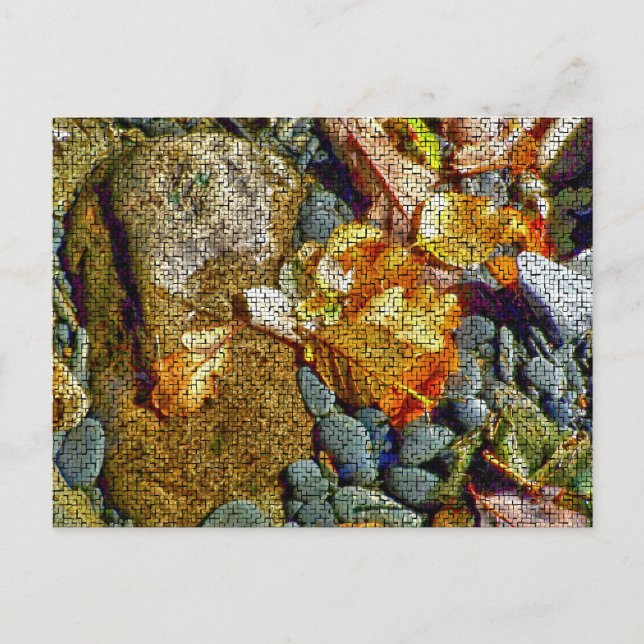 FLÜSSE POSTKARTE (Vorderseite)