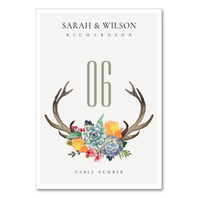 FLÜSSIGE ERFOLGREICHE ANTLER BOHEMISCHE ALLTISCH TISCHNUMMER (Vorderseite)