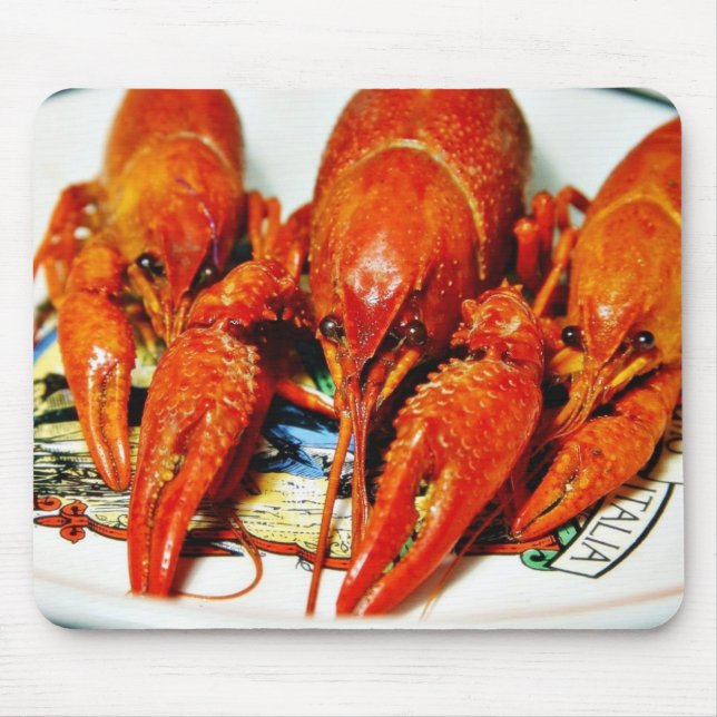 Flusskrebse Crawdads Krebstiere Mousepad (Vorne)