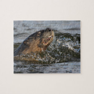 Flussotter