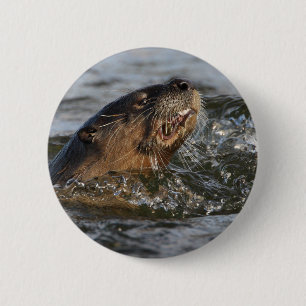 Flussotter Button