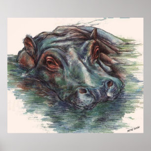 Flusspferd-Malereihippopotamus-Porträt Poster