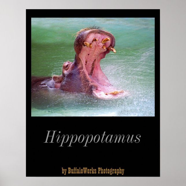 Flusspferd-Maul-Poster offen Poster (Vorne)