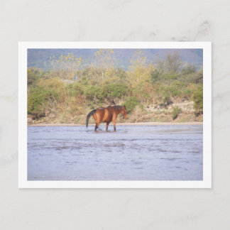 Flussüberquerung Postkarte