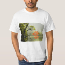 Flussufer-Wald Bild - Malerische Wasserseite Natur