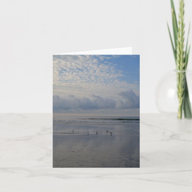 Flussuferläufer an der karte (Vorderseite)