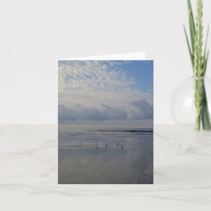 Flussuferläufer an der karte