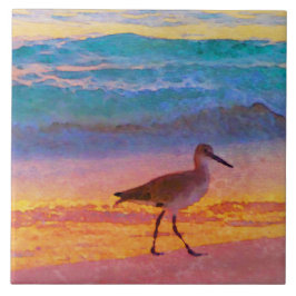 Flussuferläufer auf Strand am Sonnenuntergang Fliese
