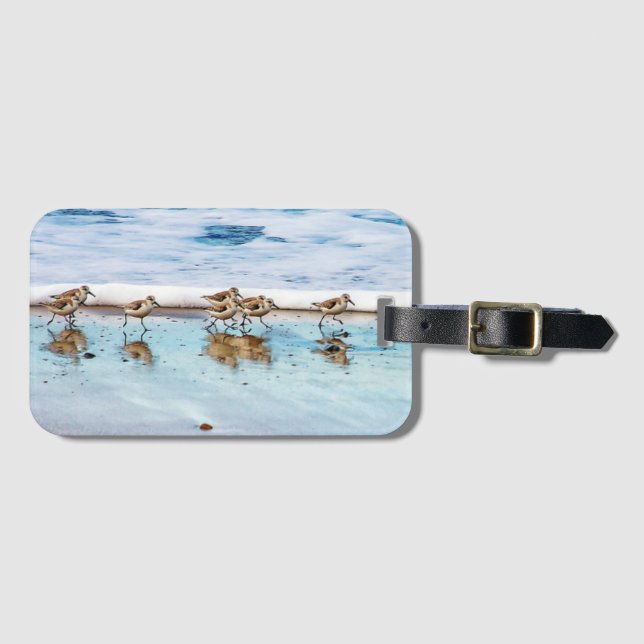 Flussuferläufer, die entlang den Strand laufen Gepäckanhänger (Vorderseite (Horizontal))