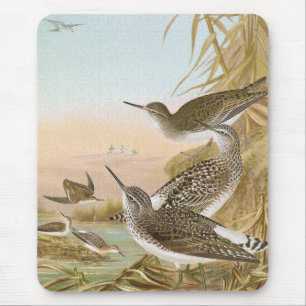 "Flussuferläufer-" Vintage Vogel-Illustration Mousepad