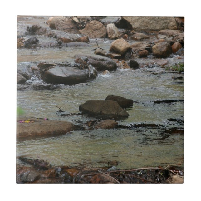 Flusswasser  fliese (Vorderseite)