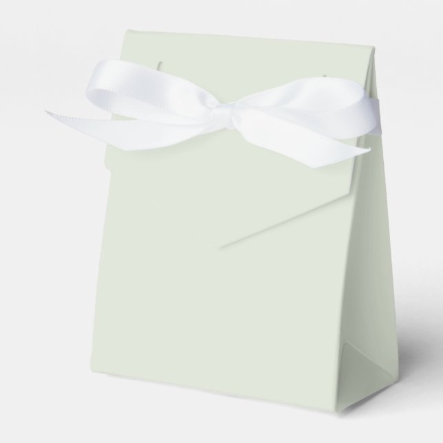 Flüstergrün einfarbig geschenkschachtel (Vorderseite)