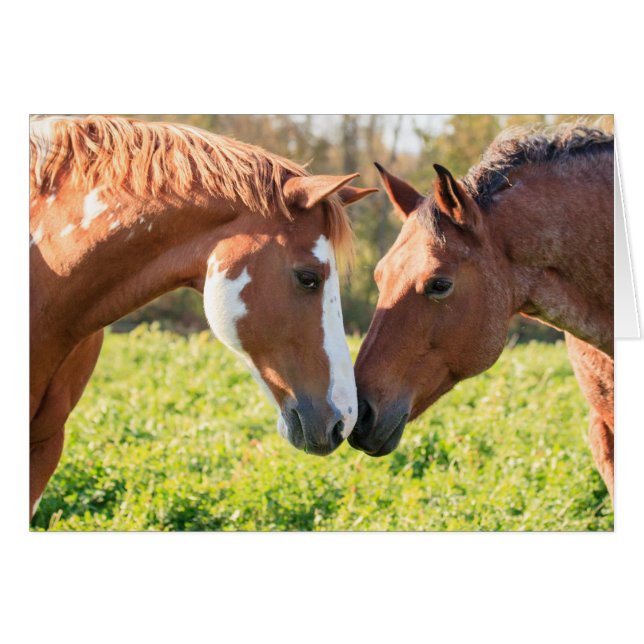 Flüstern (Vorderseite (Horizontal))