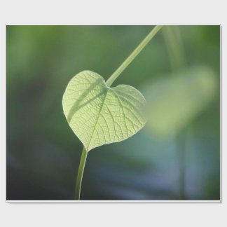 "Flüstern der Natur - Das grüne Leaf" Geschenkpapier