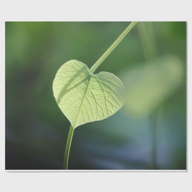 "Flüstern der Natur - Das grüne Leaf" Geschenkpapier (Flach)