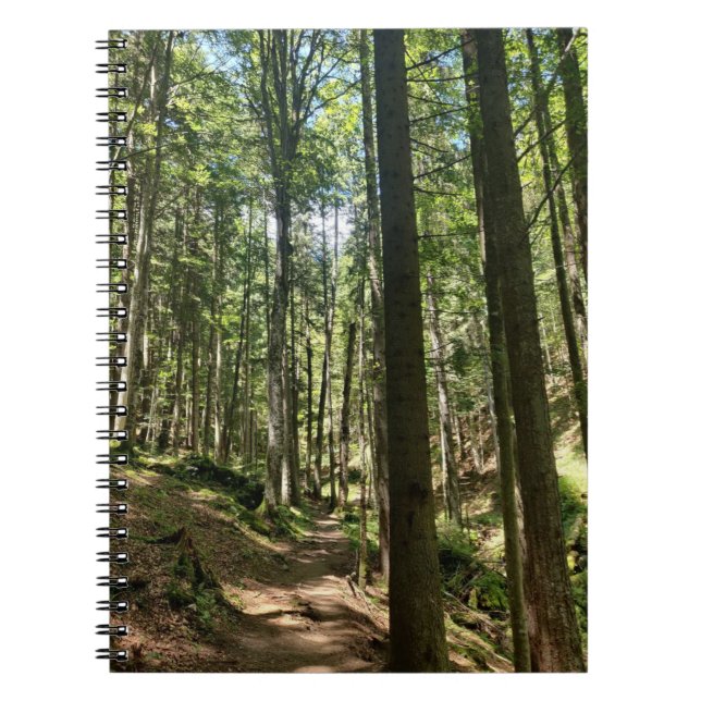 Flüstern des Waldes Notizblock (Vorderseite)