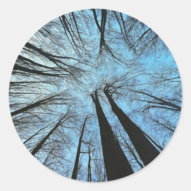 Flüstern des Whisperwaldes Runder Aufkleber (Vorderseite)