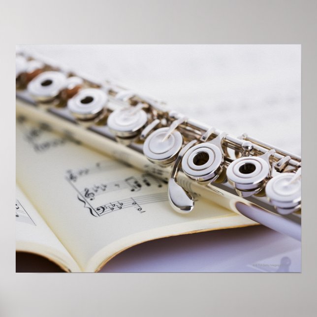 Flute 2 poster (Vorne)