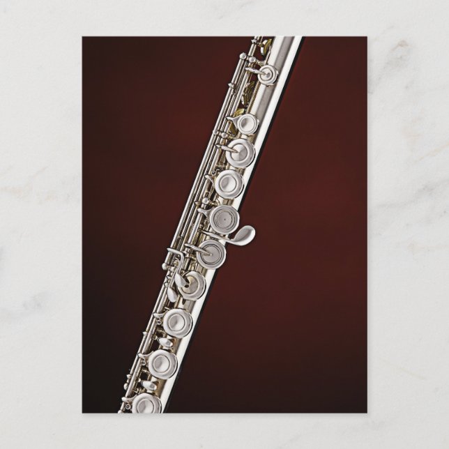 Flute Flutist Musician Postcard Postkarte (Vorderseite)