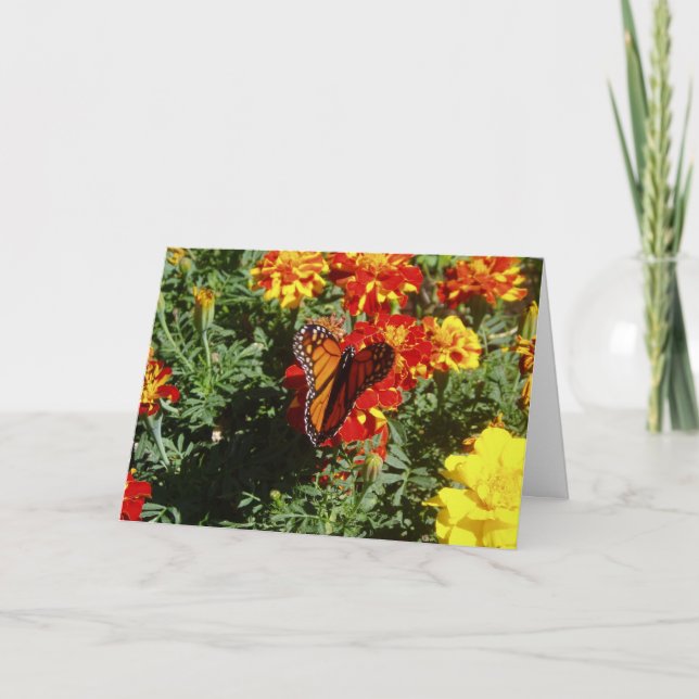 "Fluttering" Get Well Card Karte (Vorderseite)