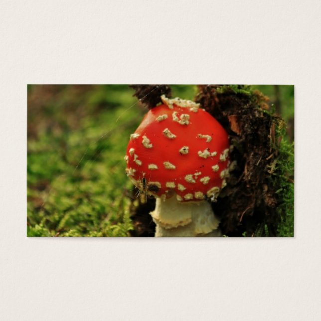 Fly agaric (Devant)