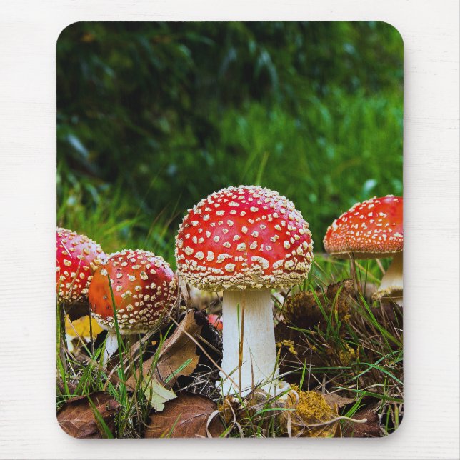 Fly agaric mousepad (Vorne)