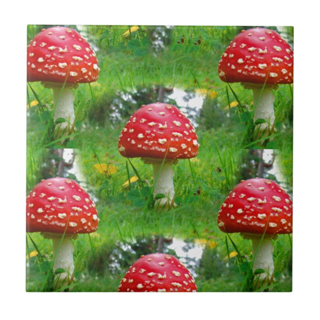 Fly Agaric Mushrooms Fliese (Vorderseite)