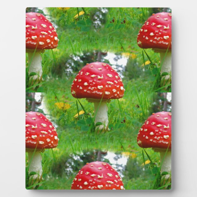 Fly Agaric Mushrooms Fotoplatte (Vorderseite)