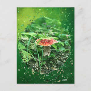 Fly Agaric - Postkarte