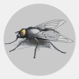 Fly Buddy graue große runde Aufkleber