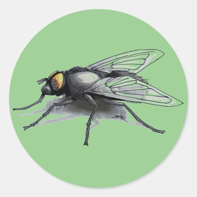 Fly Buddy grüne große runde Aufkleber (Vorderseite)